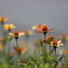 2013_08_19_0394