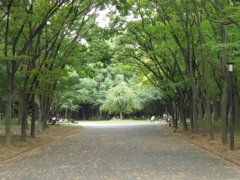 もりのゲート
