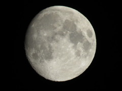 十三夜