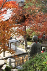 紅葉5