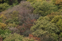 カラフル