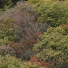 カラフル