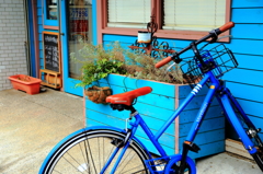 青の店構え