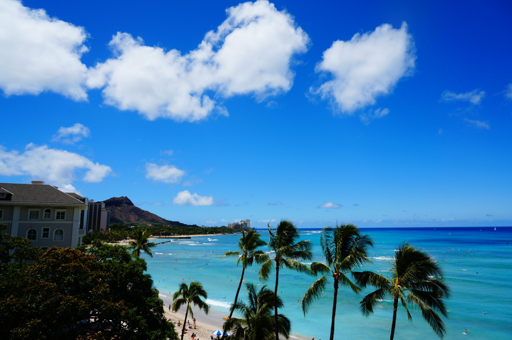 Waikiki bay