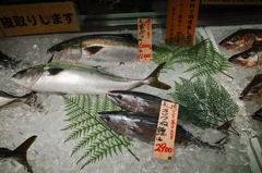 魚太郎にてｗ