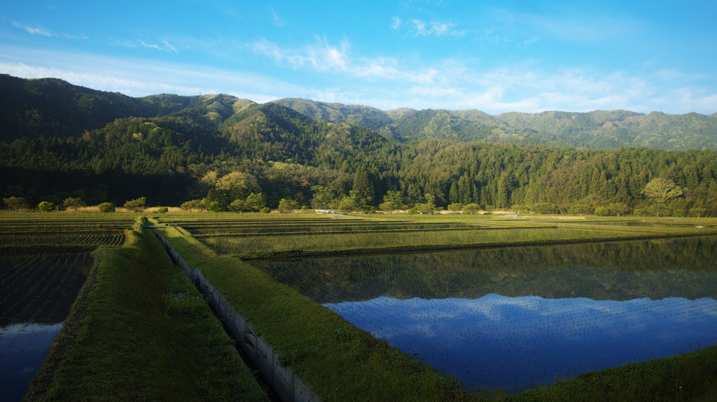 設楽の水田②
