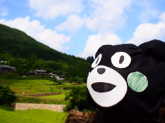 くまモン、岐阜にもいた!