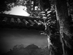 モノクロの練習