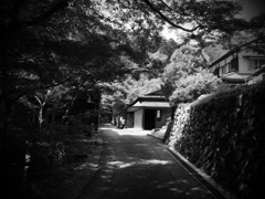 モノクロの練習