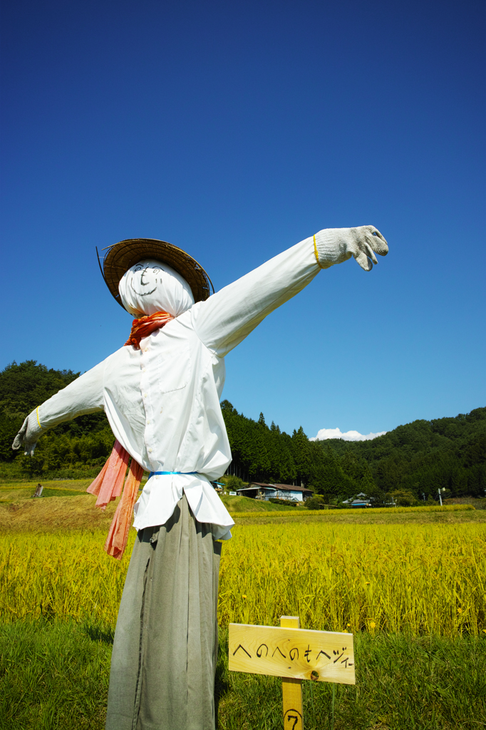 秋空と案山子