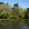 売木の水田①