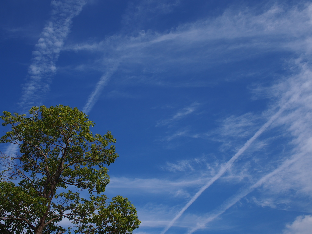 秋めいてきた空