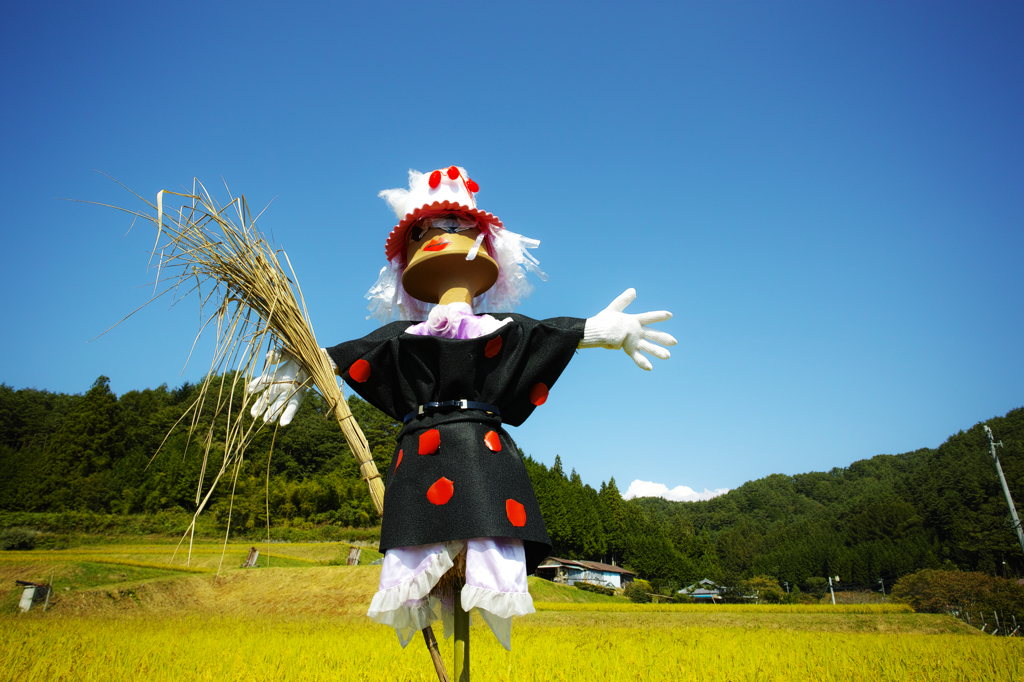 田に入るべからず。。