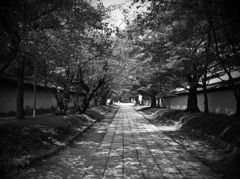 モノクロの練習