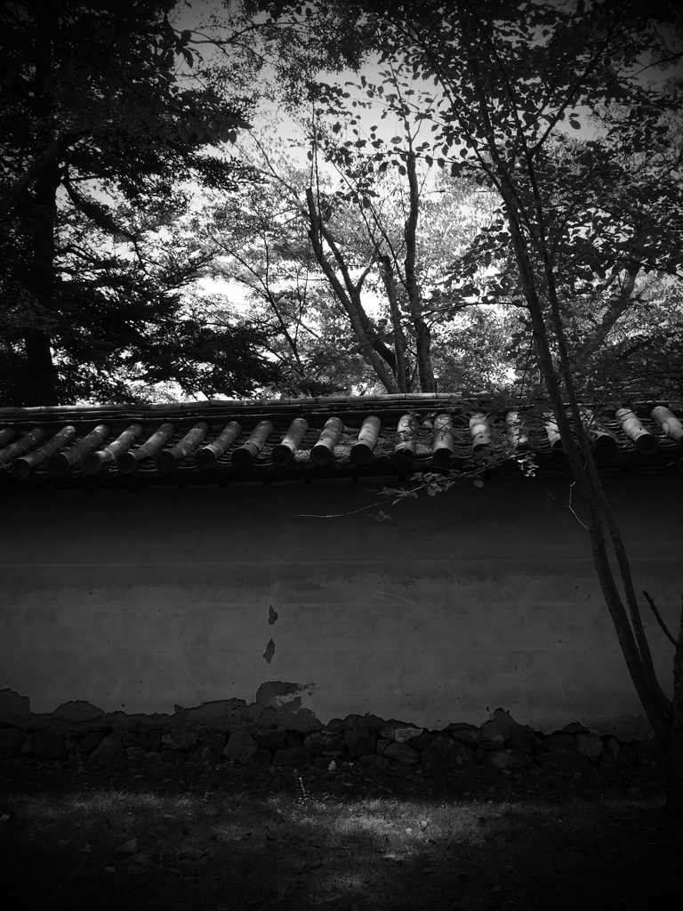 モノクロの練習