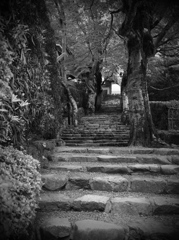 モノクロの練習