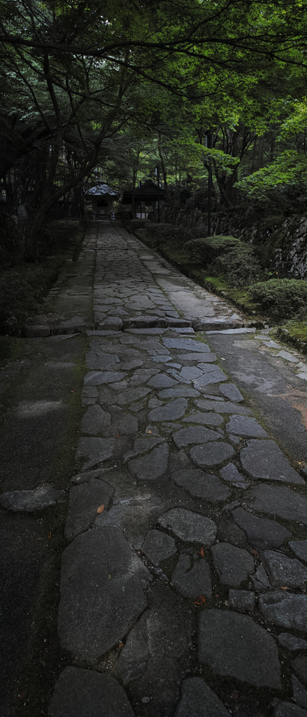 金剛輪寺　参道