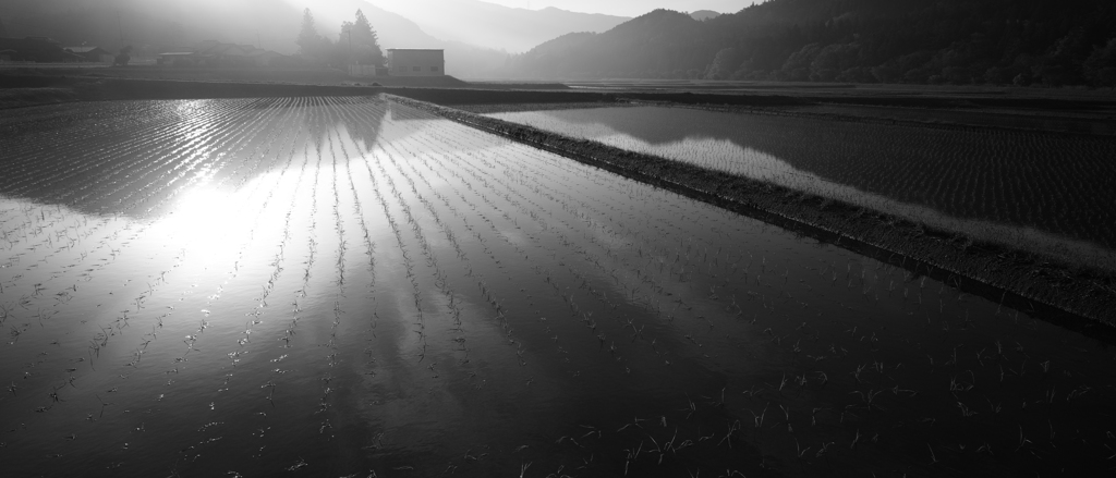設楽の水田④-1