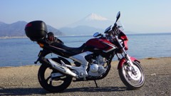 20130306 084523