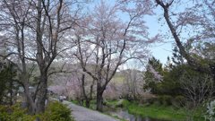 20140501 104704