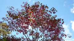 20131006 113855