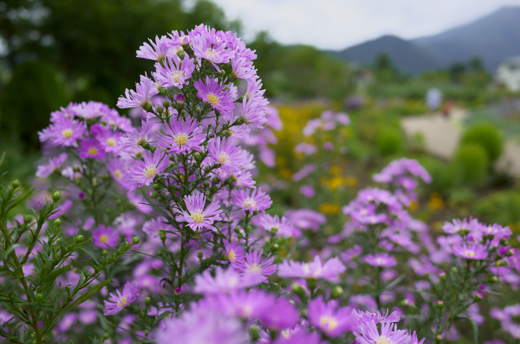 大石公園にて