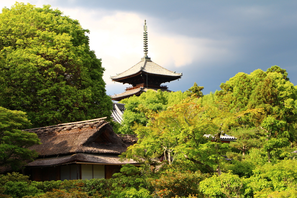 仁和寺　3