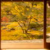 夕暮れに何を思ふ