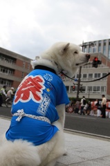 祭りだワン!!