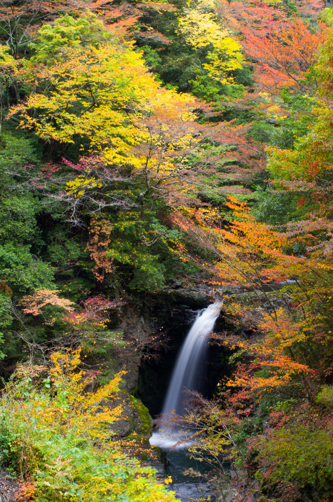 高野山　大滝