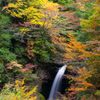 高野山　大滝