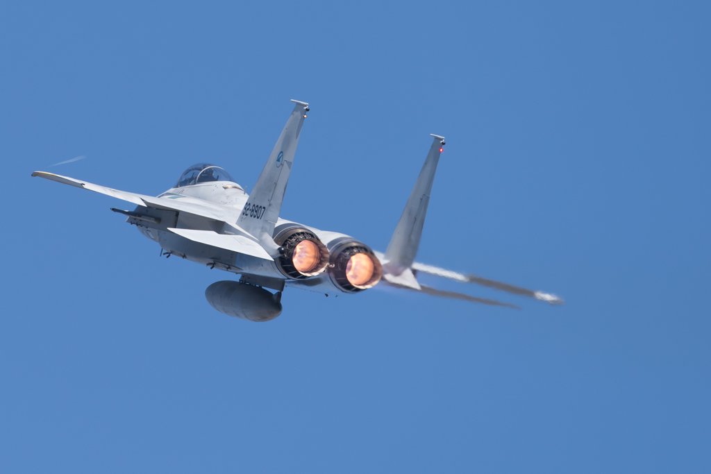岐阜基地航空祭　F-15　②
