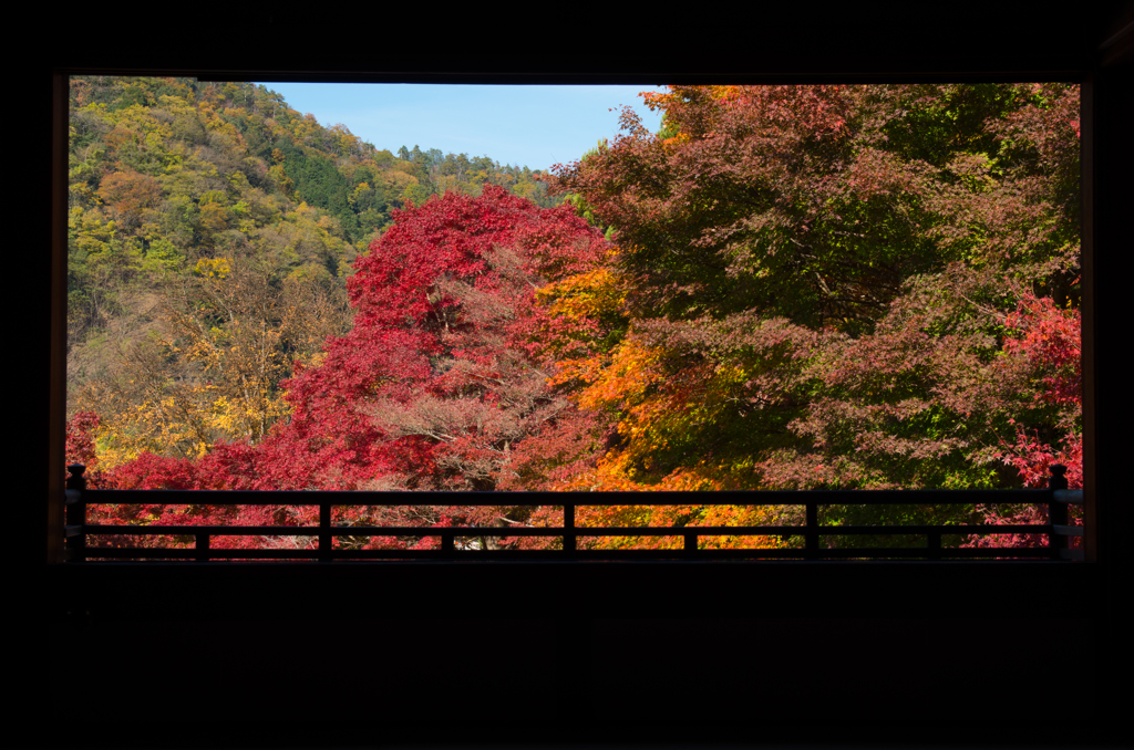 瑠璃光院②