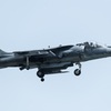 AV-8B Harrier II　2