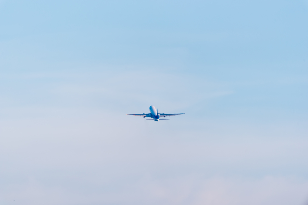 flyaway