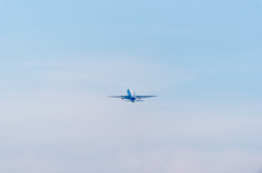 flyaway