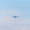 flyaway