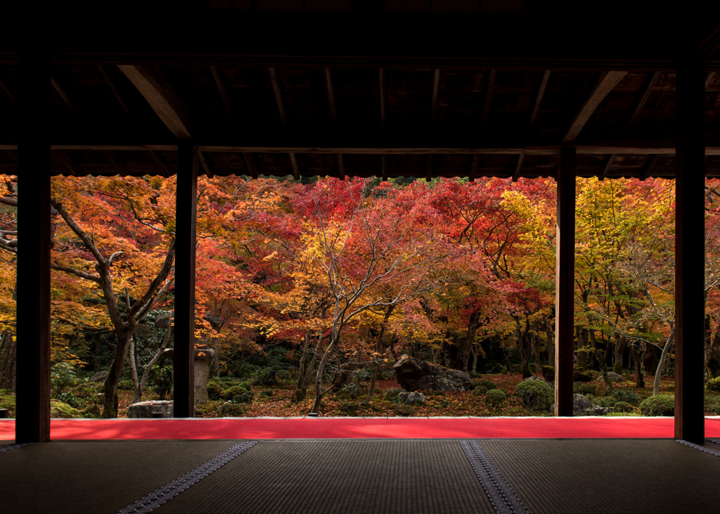 毎年恒例！圓光寺！！！