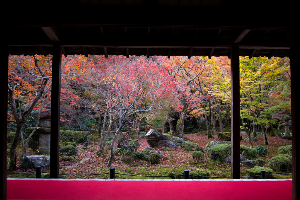 圓光寺---2015