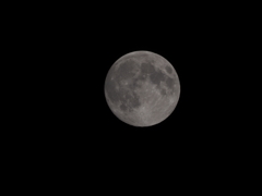 昨夜の月（中秋の名月）