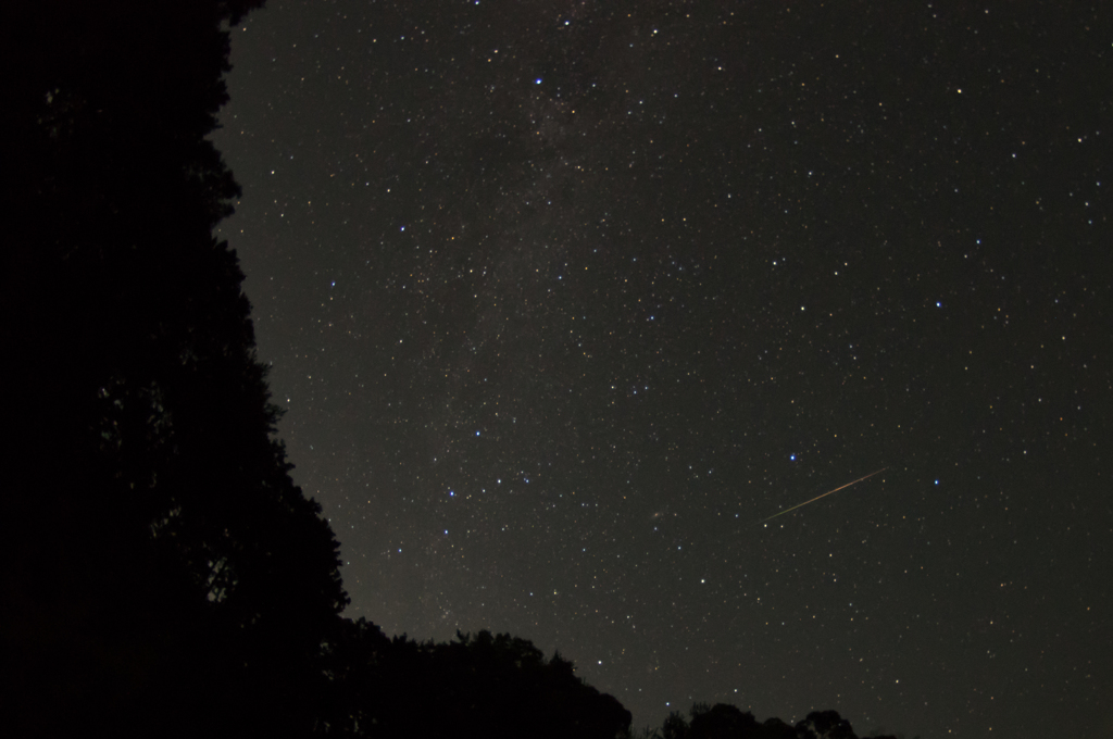 星降る夜に②