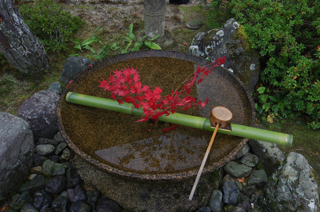 京都　圓光寺③