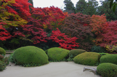 京都　詩仙堂