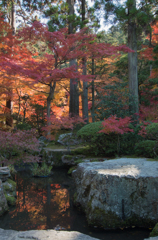 京都　南禅寺　天授庵