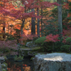 京都　南禅寺　天授庵