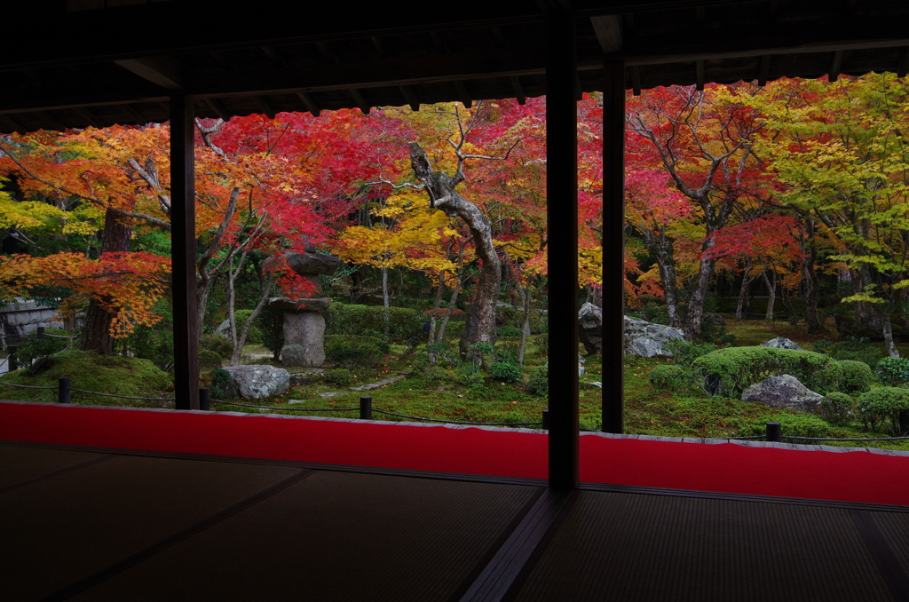 京都　圓光寺