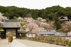 長谷寺