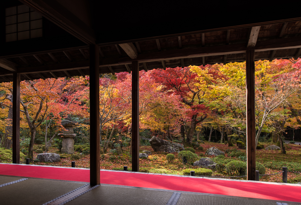 毎年恒例！圓光寺！！！