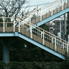 褪せる
