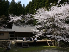 2019年 茅部神社 春の宴